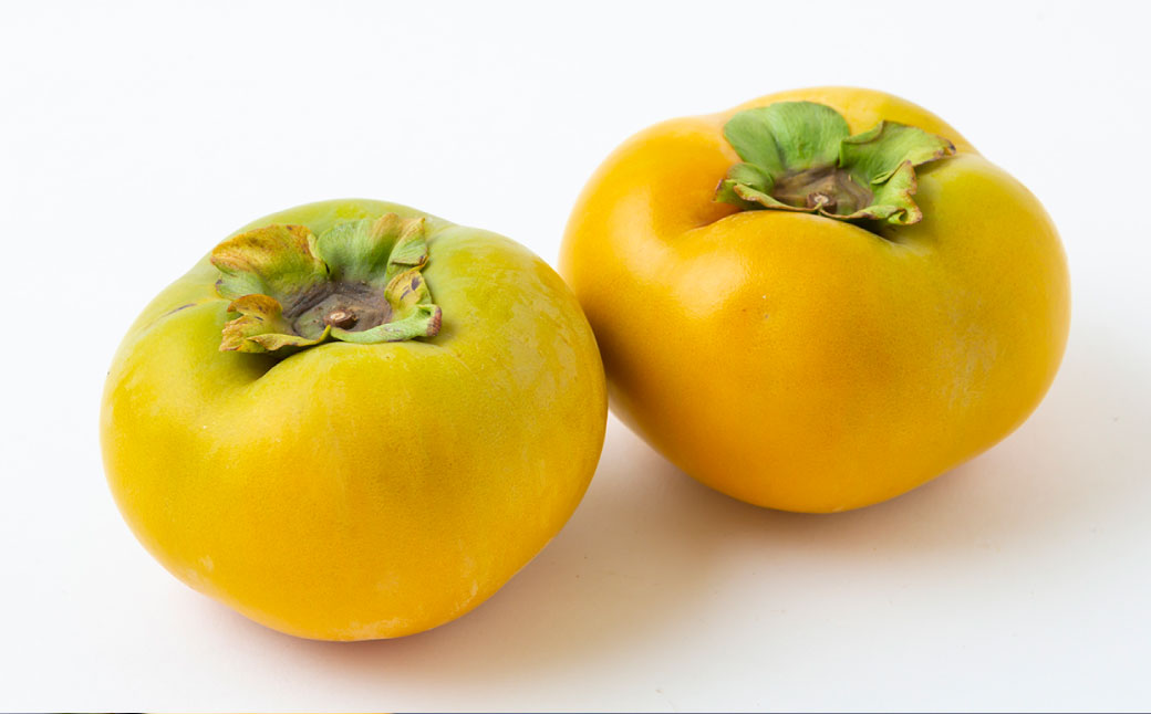 è¥¿èŠæ¿èŸ²å å€ªç§æ¿ã®ãã©ã€ãã«ãŒãã»ãã(70gÃ1è¢ã»20gÃ4è¢)