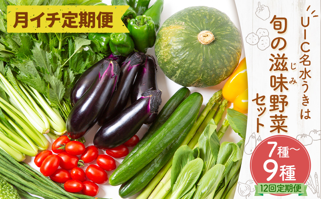 【月イチ定期便】UIC名水うきは 旬の滋味（じみ）野菜セット (ひと月1箱×1年間=計12回)