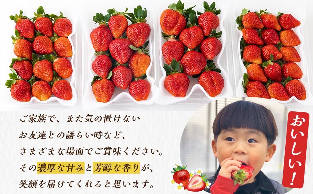 Green's 「いちごの王様」目指す福岡県産あまおう 250g×4パック 4月分 あまおう いちご イチゴ 苺 フルーツ 果物 冷蔵 送料無料 福岡県 うきは市 【2026年4月上旬〜4月中旬より順次発送予定】