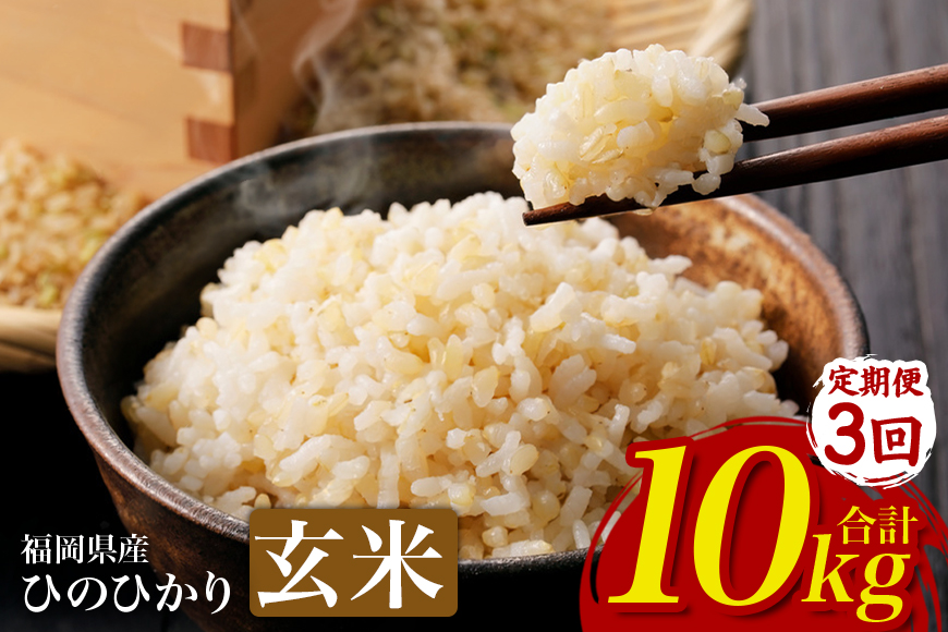 【3回定期便】【ふるさと納税】ひのひかり 米 お米  玄米  10kg  10キロ 福岡県産 うきは市 国産 精米 ご飯 ごはん おにぎり お弁当 人気 おすすめ 家庭用 送料無料 新米 ストック 厳選 農家直送 大容量【JA福岡くるめ にじの耳納の里】