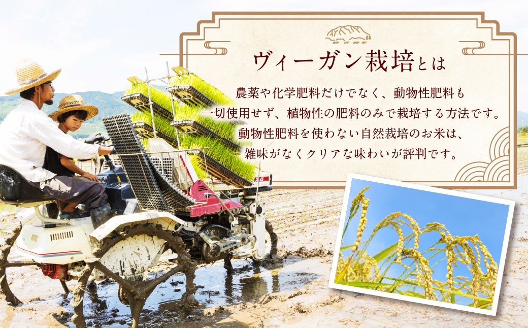 èªç¶æ œå¹ ã²ã®ã²ãã çç±³ 5kg ã2025幎10æäžæ¬ããçºéäºå®ã ç±³ ãç±³ ã飯 ããã¯åž