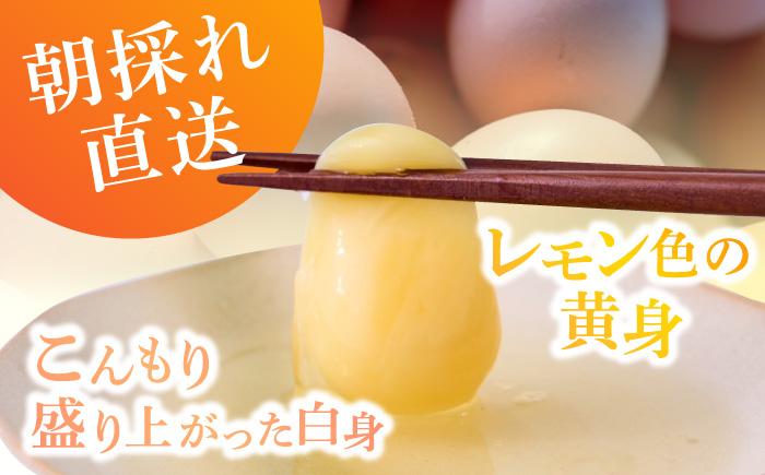 ã6ã¶æå®æäŸ¿ã平飌ã å±±ããããŸã 30å å®å¿å®å
š ããããã«æå ããŸã åµ é«çŽåµ 平飌ã å®å¿å®å
š 飌æã«ãã ãã æé·å€ ãã«ã¢ã³å€ æ·»å ç©äžäœ¿çš 6åå®æäŸ¿