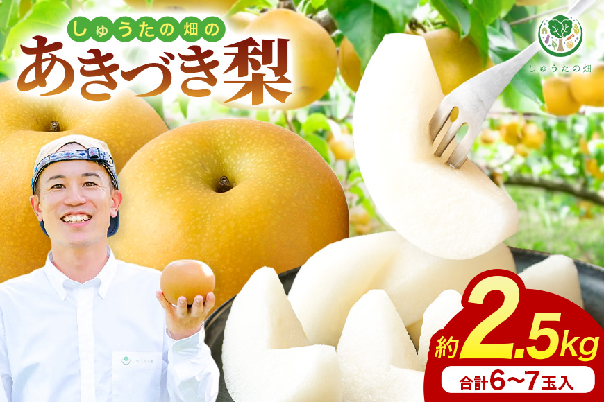 【先行予約】 しゅうたの畑 あふれる果汁 幸水梨 6玉から7玉 【2026年7月下旬から8月上旬 出荷予定】 梨 なし ナシ 幸水 こうすい 果物 くだもの フルーツ 果実 ジューシー 産直農園 お取り寄せ 福岡県 うきは市