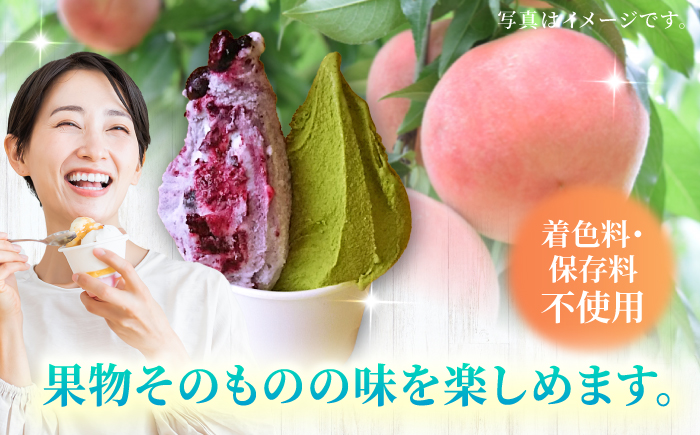 【年4回定期便】ソルベッチdoうきは ジェラート120ml×6個セット【ソルベッチdoうきは】着色料不使用 ノンホモ牛乳使用 ジェラート アイス 旬 スイーツ 詰め合わせ セット シャーベット ミルク フルーツ デザート 定期便