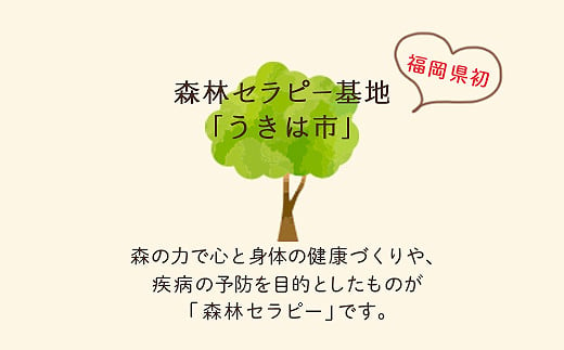 【参加型体験】うきは市森林セラピー (森のティータイム付き) 2名様