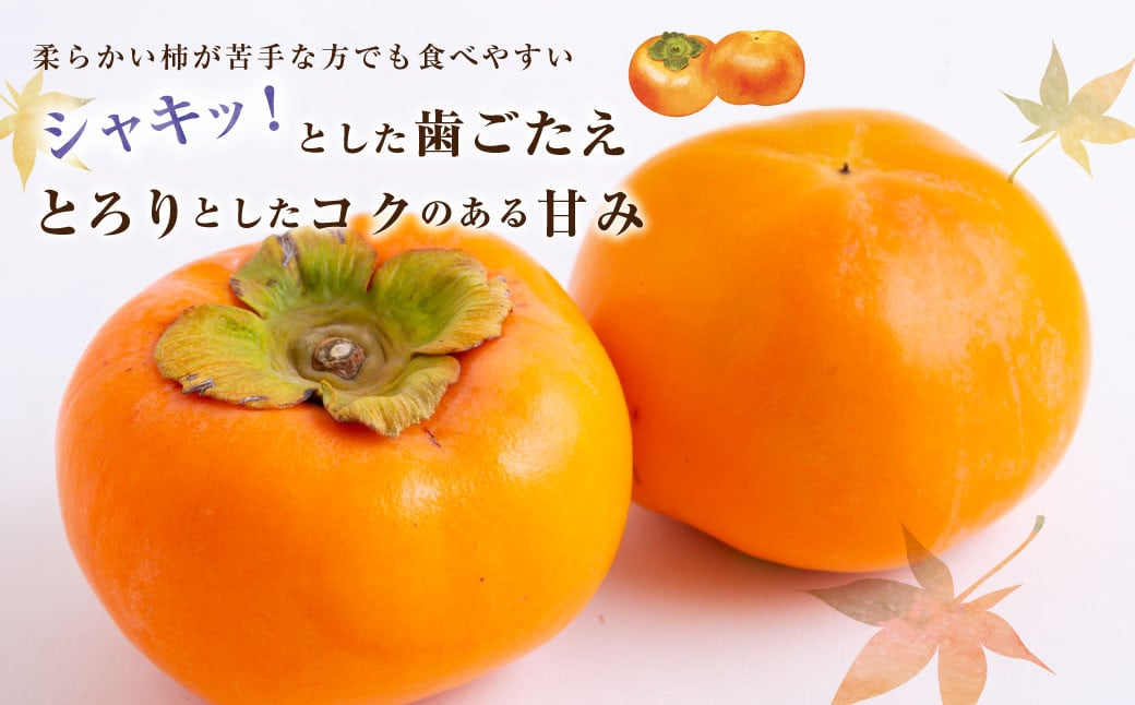 ãå
è¡äºçŽãéã®é§
ãã㯠å·èµå¯ææ¿ 8çãã9ç 2025幎12æäžæ¬ãã2026幎1æäžæ¬ åºè·äºå®