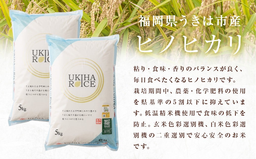 【3ヶ月定期便】 みずほファーム UKIHA RICE 白米 5kg✕2袋✕3回 （特別栽培米） 計30kg ヒノヒカリ ひのひかり 精米 米 こめ コメ お米 おこめ 白米 精米 ごはん ご飯 お中元 お歳暮 ギフト プレゼント 贈答品 定期便 おすすめ 国産