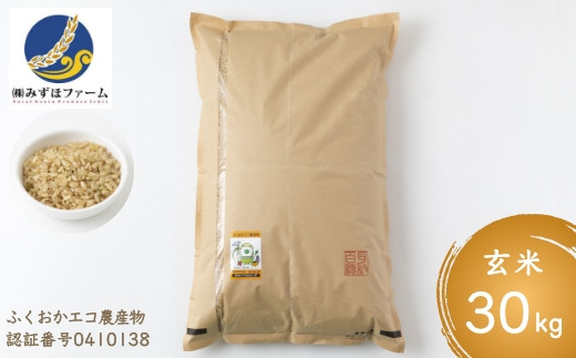 みずほファーム 特別栽培米ヒノヒカリ 玄米30kg