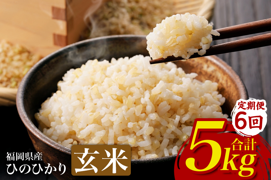 【6回定期便】ひのひかり 米 お米  玄米  5kg  5キロ 福岡県産 うきは市 国産 精米 ご飯 ごはん おにぎり お弁当 人気 おすすめ 家庭用 送料無料 新米 ストック 厳選 農家直送 大容量【JA福岡くるめ にじの耳納の里】