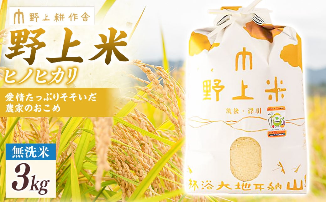 【2025年10月下旬より順次発送開始】野上耕作舎 野上米ヒノヒカリ 無洗米3kg ひのひかり 無洗米 米 お米 ご飯 国産 九州産 福岡県 うきは市