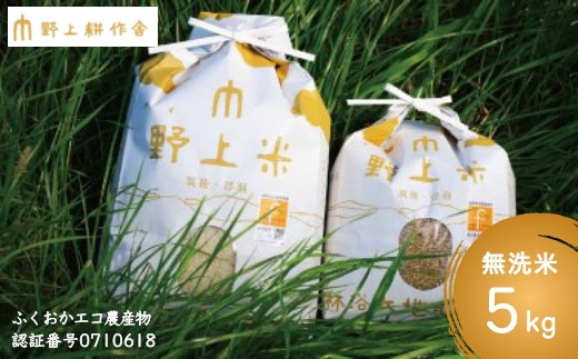 野上耕作舎 野上米ヒノヒカリ 無洗米5kg