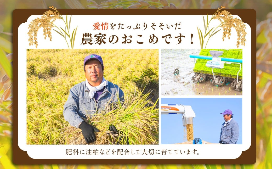【6ヶ月定期便】日永園 ヒノヒカリ 白米3kg×6ヶ月 【2025年11月下旬より発送予定】 米 お米 ご飯  うきは市