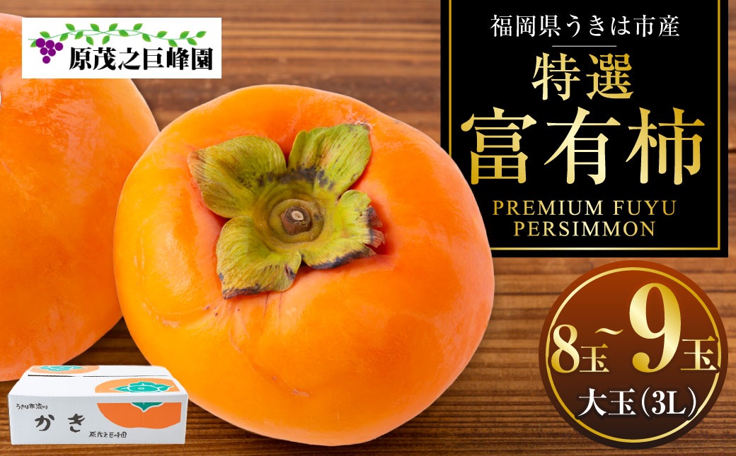 【先行予約】原茂之巨峰園 特撰 富有柿 大玉(3L) 8玉から9玉 2025年11月中旬から11月下旬 出荷予定
