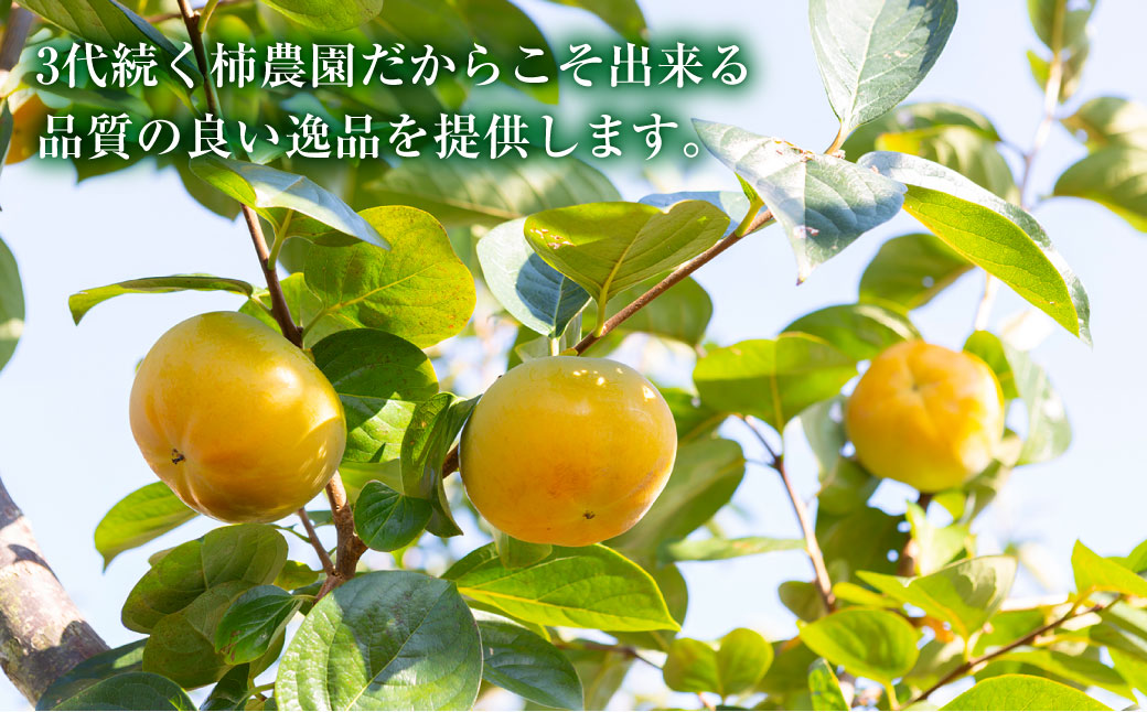 è¥¿èŠæ¿èŸ²å å€ªç§æ¿ã®ãã©ã€ãã«ãŒãã»ãã(70gÃ1è¢ã»20gÃ4è¢)