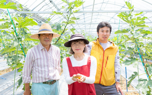 【先行予約】渡辺農園 いちじく (とよみつひめ) 4パック 2025年7月下旬から8月下旬 出荷予定