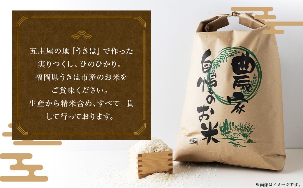五庄屋の地で作った お米 玄米 食べ比べセット（ 実りつくし ・ ひのひかり ）各5kg 計約10kg 米 ご飯 国産 九州産 福岡県 うきは市 【2026年1月下旬発送開始】