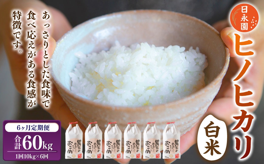 【6ヶ月定期便】日永園 ヒノヒカリ 白米10kg×6ヶ月 【2025年11月下旬より発送予定】 米 お米 ご飯  うきは市