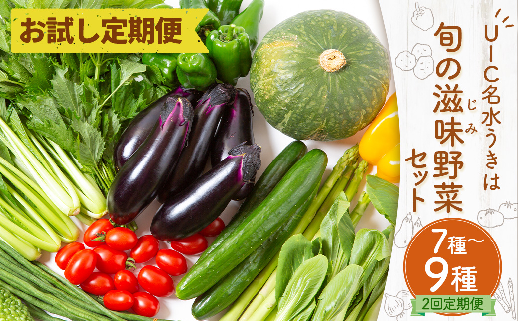【お試し定期便】 UIC名水うきは 旬の滋味（じみ）野菜セット (ひと月1箱×2か月=計2回)