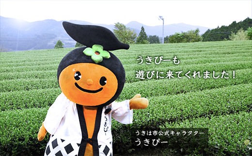 堀江銘茶園 お茶詰合せ (白折2袋・煎茶3袋)