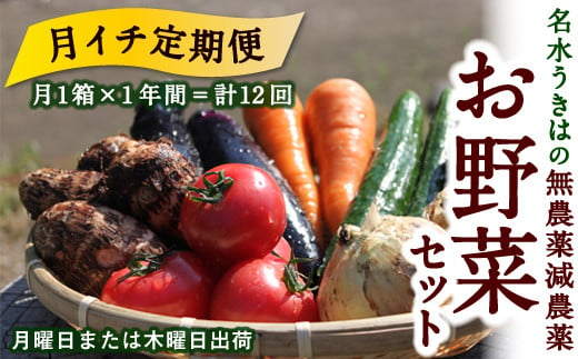 【月イチ定期便】UIC 名水うきはの無農薬減農薬お野菜セット (ひと月1箱×1年間=計12回)