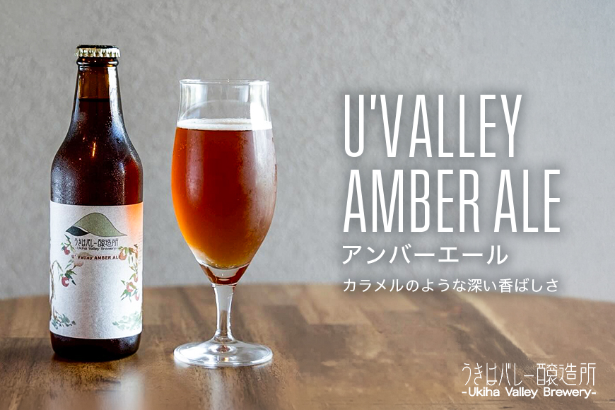 【ふるさと納税】クラフトビール 飲み比べ 4種 8本セット 地ビール ビール 瓶ビール お酒 ギフト 詰め合わせ プレゼント 家飲み お祝い お祝い返し 開店祝い 退職祝い 新築祝い おすすめ 国産 福岡県うきは市 エールビール 送料無料【株式会社うきはバレー醸造所】