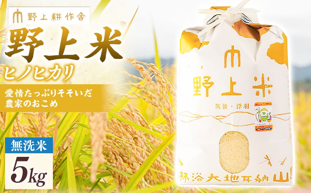 【2025年10月下旬より順次発送開始】野上耕作舎 野上米ヒノヒカリ 無洗米5kg ひのひかり 無洗米 米 お米 ご飯 国産 九州産 福岡県 うきは市