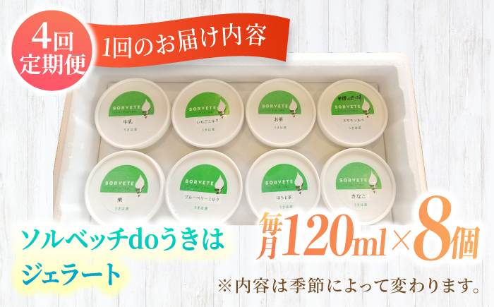 ã幎4åå®æäŸ¿ãææš¹åãäœã çŽ æã®å³ã楜ããã æ¬ã®ãžã§ã©ãŒã 120mlÃ8åã»ããããœã«ãããdoããã¯ãçè²æäžäœ¿çš ãã³ãã¢çä¹³äœ¿çš ãžã§ã©ãŒã ã¢ã€ã¹ æ¬ ã¹ã€ãŒã è©°ãåãã ã»ãã ã·ã£ãŒããã ãã«ã¯ ãã«ãŒã ãã¶ãŒã å®æäŸ¿