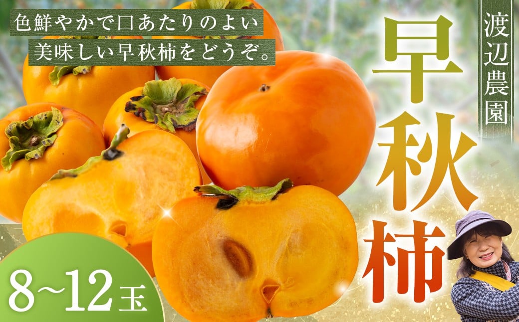 【先行予約】 渡辺農園 早秋柿 9玉前後 【2025年9月下旬から10月上旬 出荷予定】 柿 かき カキ 早秋 そうしゅう 果物 くだもの フルーツ 果実 ジューシー お取り寄せ 福岡県 うきは市