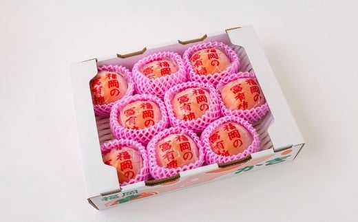 日永園 冷蔵富有柿 7玉から8玉（2Lから3Lサイズ） 【2025年12月下旬から2026年2月下旬出荷予定】 柿 フルーツ 果物