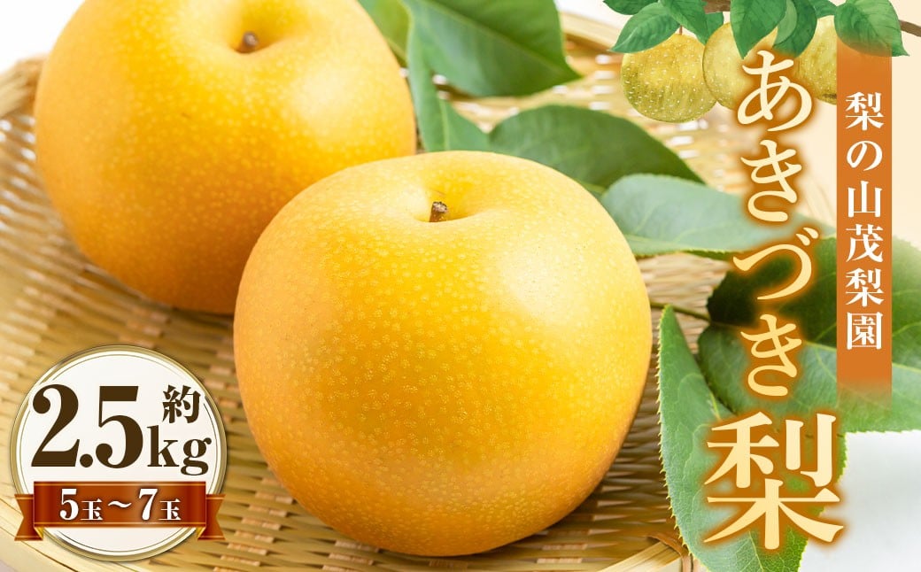 【先行予約】 梨の山茂梨園 あきづき梨 5玉から7玉（約2.5kg）【2026年9月上旬～下旬発送予定】 梨 なし ナシ 果物 くだもの フルーツ 果実 果汁 5玉 7玉 あきづき