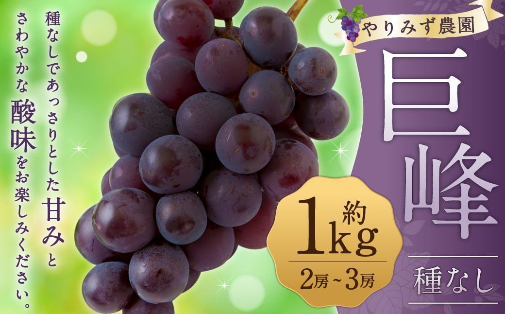 【先行予約】 やりみず農園 種なし 巨峰 2房から3房（約1kg） 【2026年8月上旬～下旬発送予定】 種なし巨峰 ぶどう ブドウ 葡萄 くだもの 果物 フルーツ 果実 福岡県 うきは市