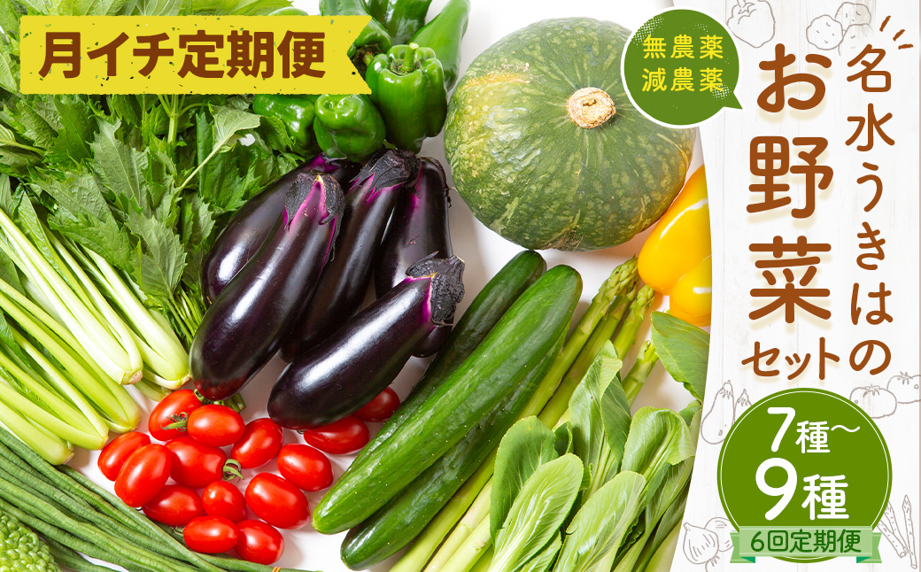 【月イチ定期便】UIC 名水うきはの無農薬減農薬お野菜セット (ひと月1箱×半年間=計6回)