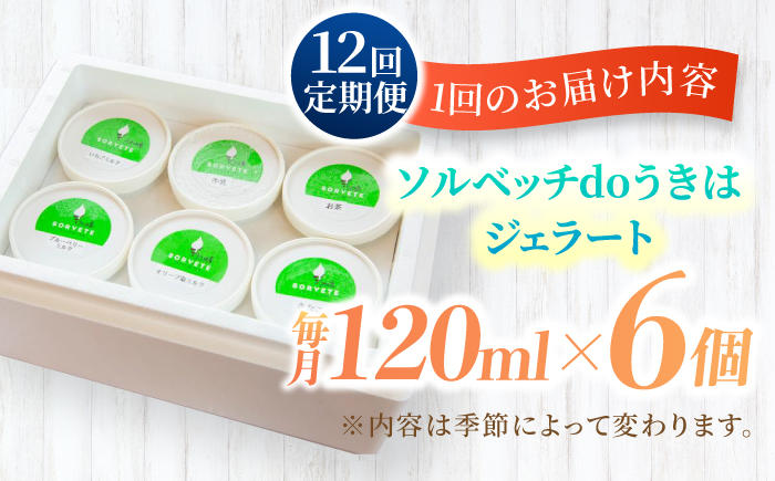 【12回定期便】果樹園が作る 素材の味を楽しめる 旬のジェラート 120ml×6個セット【ソルベッチdoうきは】着色料不使用 ノンホモ牛乳使用 ジェラート アイス 旬 スイーツ 詰め合わせ セット シャーベット ミルク フルーツ デザート 定期便