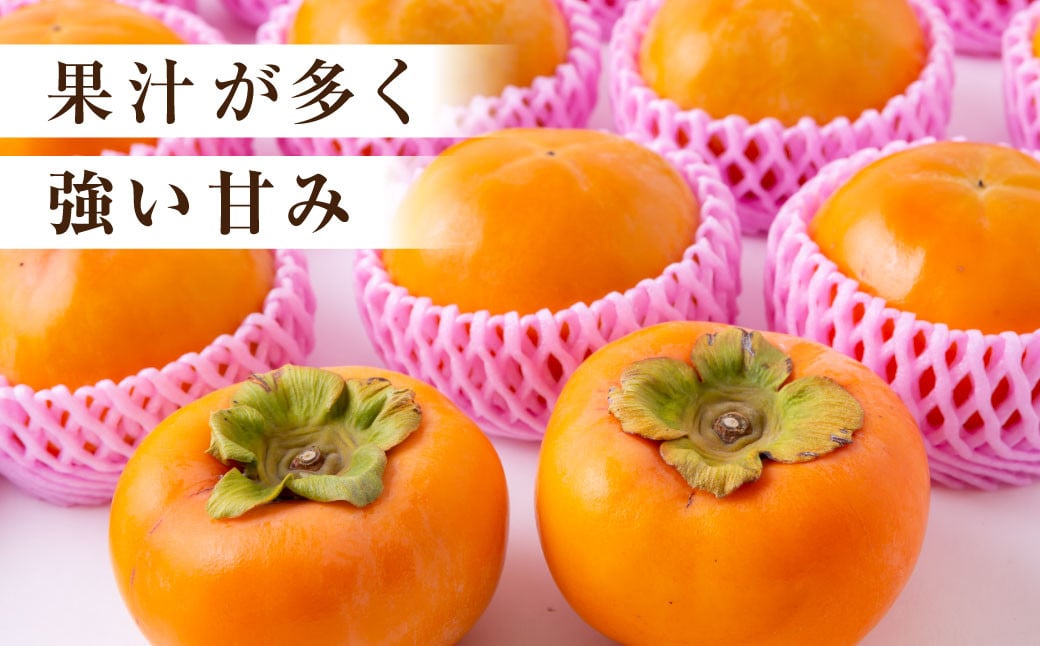 ãå
è¡äºçŽãéã®é§
ãã㯠å·èµå¯ææ¿ 8çãã9ç 2025幎12æäžæ¬ãã2026幎1æäžæ¬ åºè·äºå®