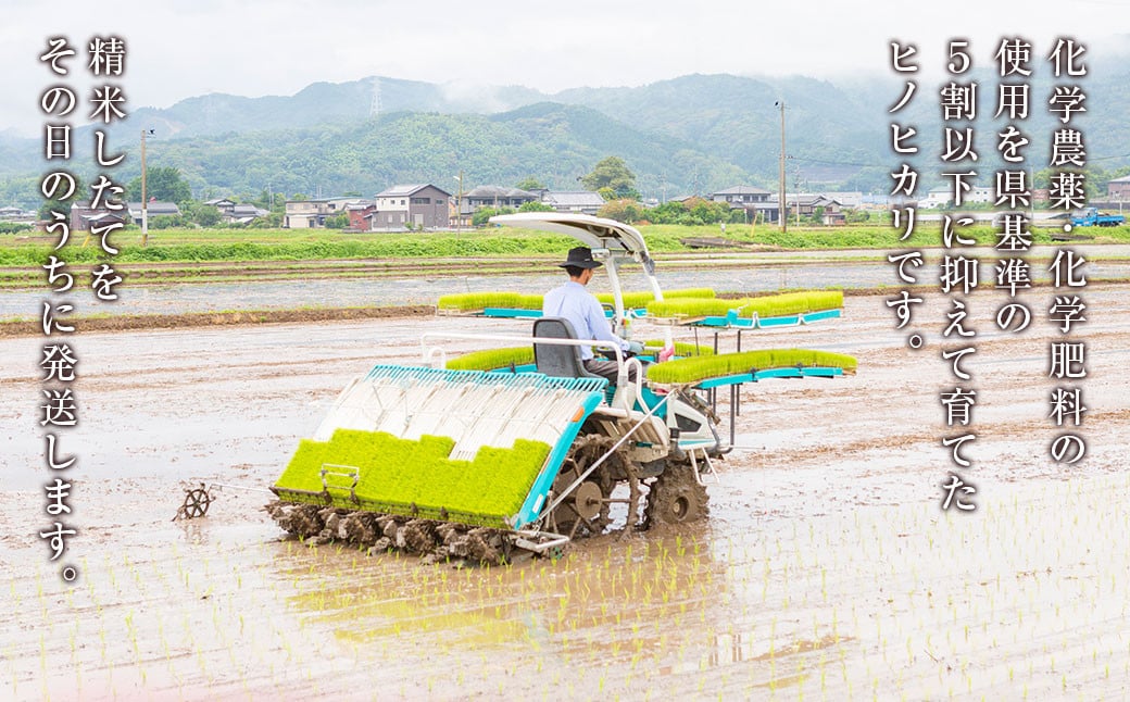 【2025年10月下旬より順次発送開始】野上耕作舎 野上米ヒノヒカリ 無洗米10kg ひのひかり 無洗米 米 お米 ご飯 国産 九州産 福岡県 うきは市