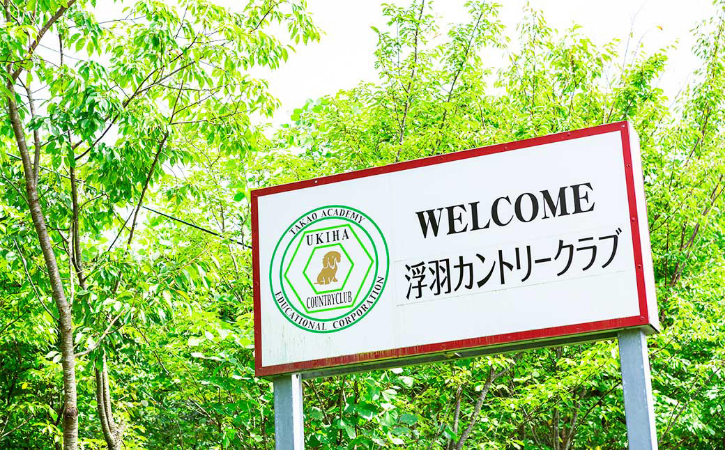 【参加型体験】浮羽カントリークラブ 平日セルフプレー券 ゴルフ ゴルフ場 ゴルフプレー スポーツ チケット 旅行 旅 体験 観光 九州 福岡県 福岡 ふくおか うきは市