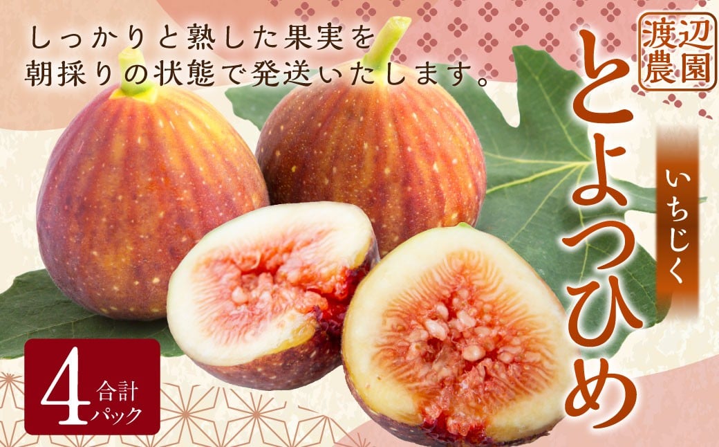 【先行予約】渡辺農園 いちじく (とよみつひめ) 4パック 【2025年7月下旬〜2025年10月上旬 出荷予定】 フルーツ 果物 果実 常温 送料無料 福岡県 うきは市