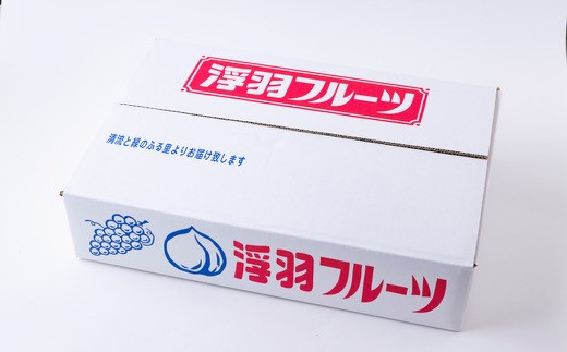 鈴木農園 特撰甘果逸品 富有柿 13玉から15玉(2Lから3Lサイズ) 2024年11月中旬から12月上旬 出荷予定