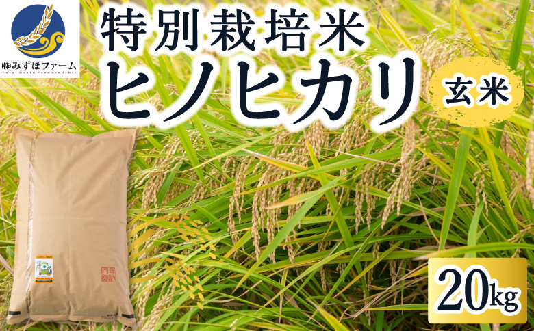 みずほファーム 特別栽培米ヒノヒカリ 玄米20kg