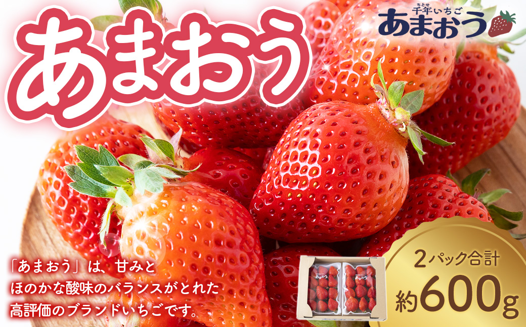 千年いちご あまおうイチゴ (300g×2パック) 12月お届け あまおう いちご イチゴ 苺 フルーツ 果物 冷蔵 送料無料 福岡県 うきは市 【2025年12月下旬より順次発送予定】