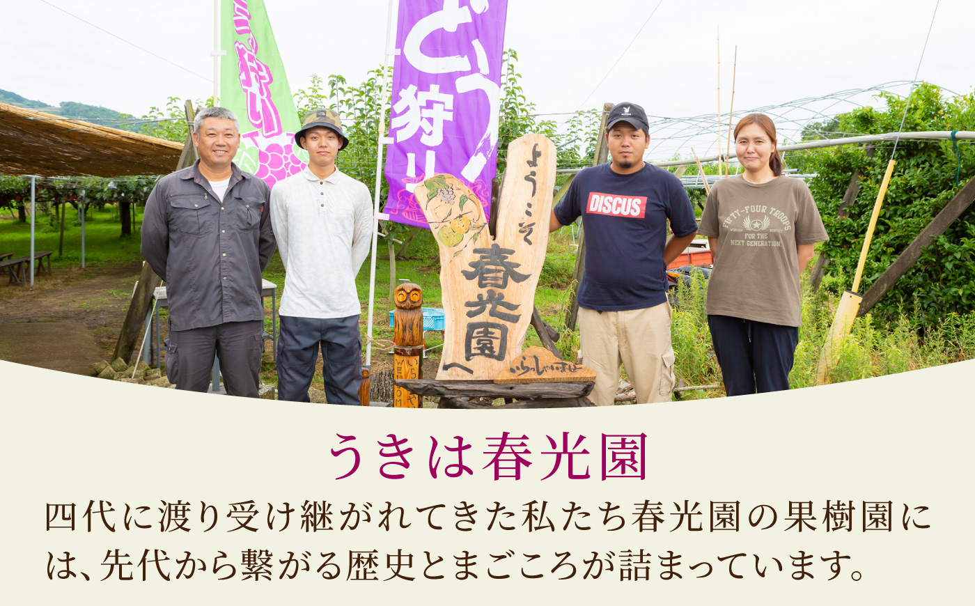 【先行予約】コクのある甘さ 種あり 巨峰 4房から6房 2025年8月下旬から9月上旬 出荷予定【春光園】 ぶどう ブドウ 葡萄 巨峰 種あり 果物 フルーツ
