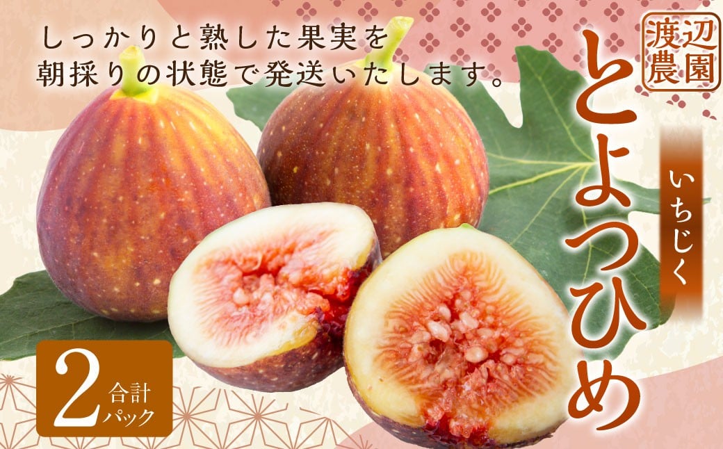 【先行予約】渡辺農園 いちじく (とよみつひめ) 2パック 【2025年7月下旬〜2025年10月上旬 出荷予定】 フルーツ 果物 果実 常温 送料無料 福岡県 うきは市