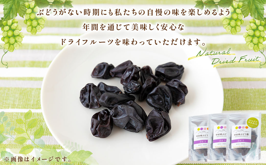 中村柿ぶどう園 ナチュラルドライフルーツ (シャインマスカット) 約40g×3個 