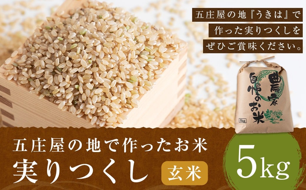 äºåºå±ã®å°ã§äœã£ã ãç±³ å®ãã€ãã çç±³ 5kg ç±³ ã飯 åœç£ ä¹å·ç£ çŠå²¡ç ããã¯åž ã2026幎1æäžæ¬çºééå§ã