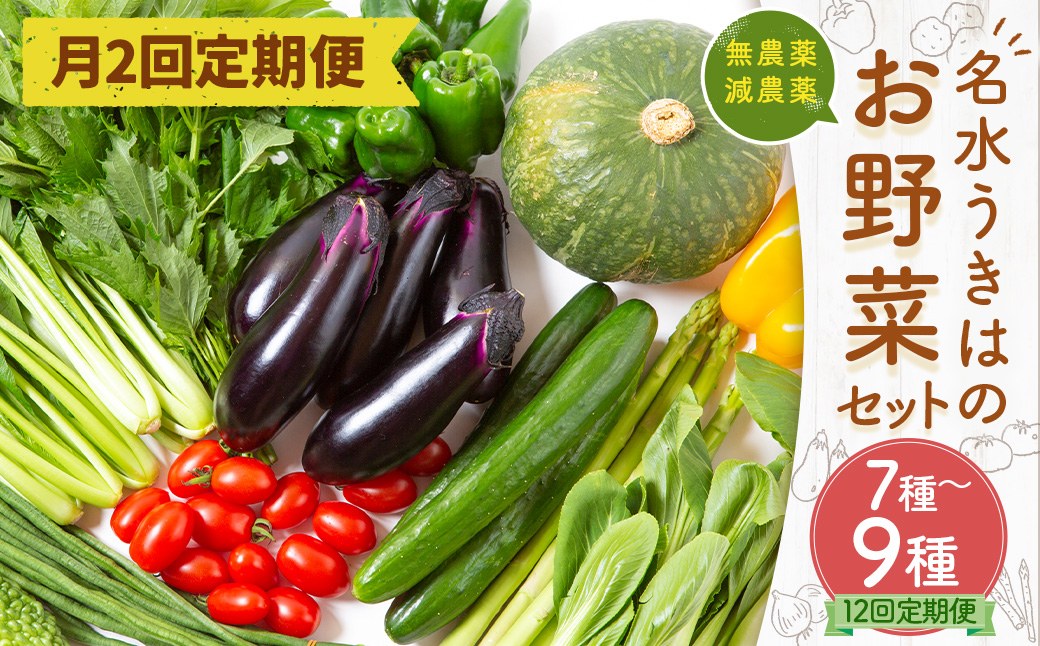 【月2回定期便】UIC 名水うきはの無農薬減農薬お野菜セット (ひと月2回×半年間=計12回)