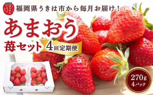 【4回定期便】よかもんいちご あまおう苺セット4パック 2025年1月から4月 毎月 お届け