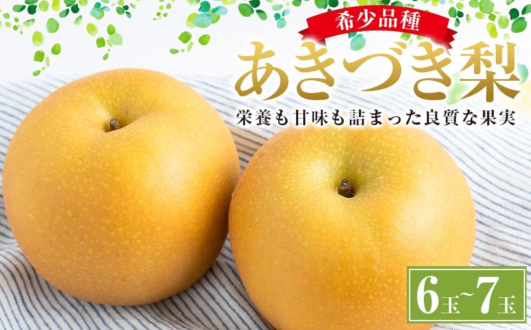【ふるさと納税】【先行予約】しゅうたの畑 希少品種 あきづき梨 6玉から7玉  【2026年9月上旬より順次発送予定】 梨 なし ナシ あきづき 果物 くだもの フルーツ 果実 ジューシー 産直農園 お取り寄せ 送料無料 福岡県 うきは市