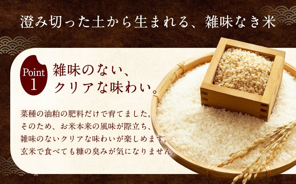 自然栽培 ひのひかり 玄米 5kg 【2025年10月下旬より発送予定】 米 お米 ご飯  うきは市