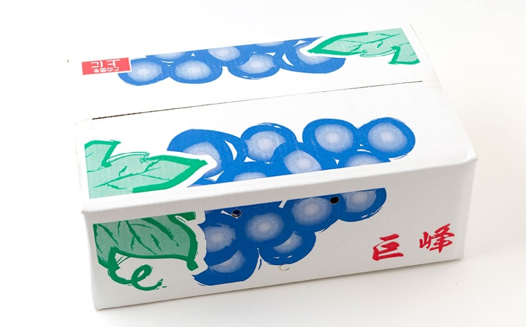 【先行予約】 やりみず農園 種なし 巨峰 2房から3房（約1kg） 【2026年8月上旬～下旬発送予定】 種なし巨峰 ぶどう ブドウ 葡萄 くだもの 果物 フルーツ 果実 福岡県 うきは市