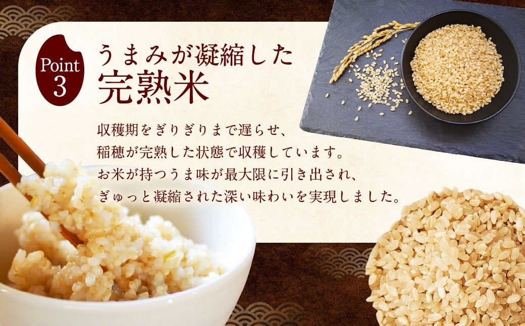 自然栽培 ひのひかり 玄米 5kg 【2025年10月下旬より発送予定】 米 お米 ご飯  うきは市